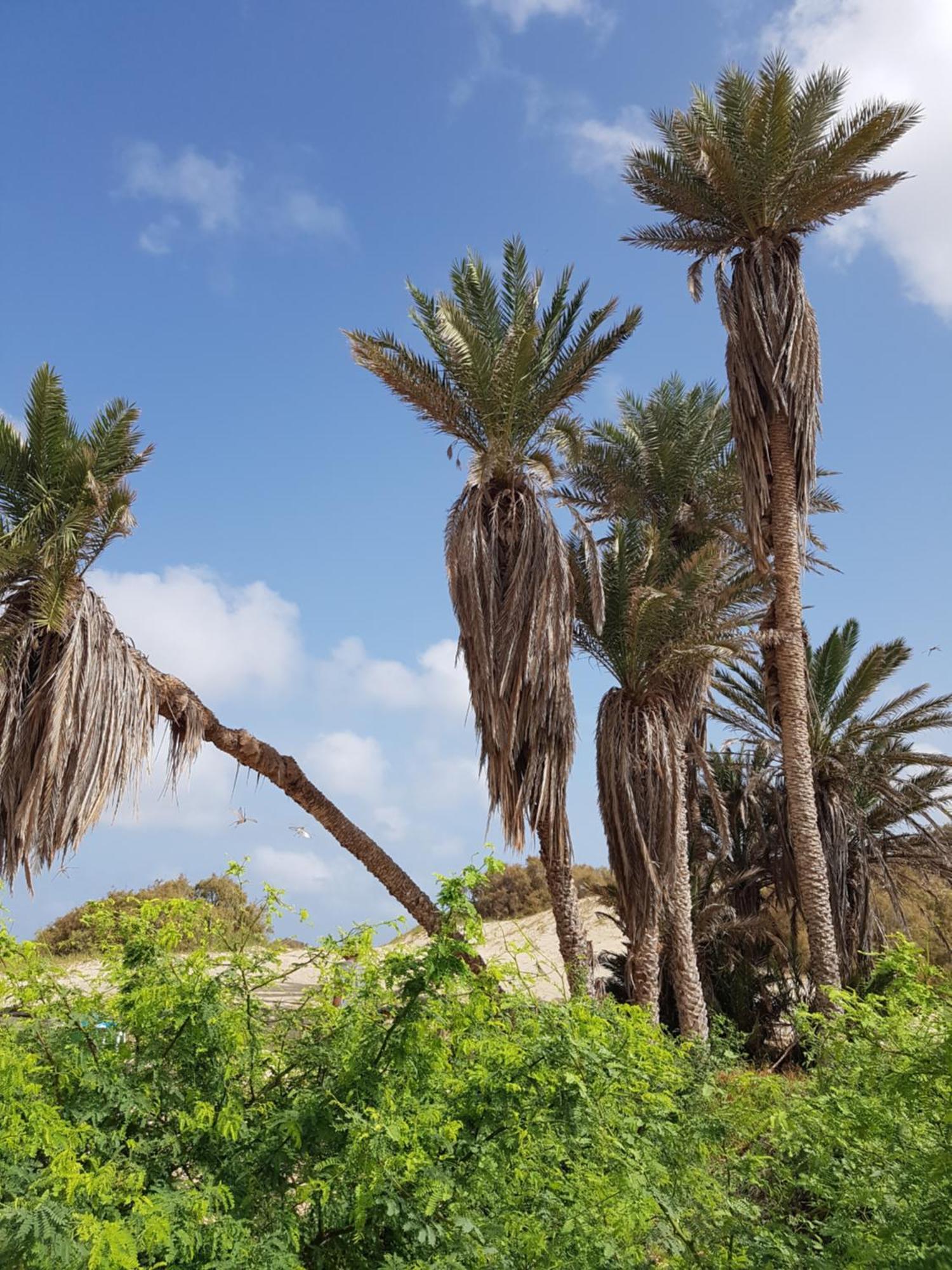 Cidade do Maio Torre Sabina Bed & Breakfast エクステリア 写真